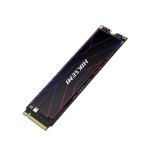 HIKSEMI Future Lite 1TB Gen4 M.2 NVMe 3D NAND SSD HIKSEMI Future Lite 1TB Gen4 M.2 NVMe 3D NAND SSD