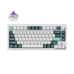 Keychron Q1H-P1 QMK Wireless Custom Keyboard - White Keychron Q1H-P1 QMK Wireless Custom Keyboard - White